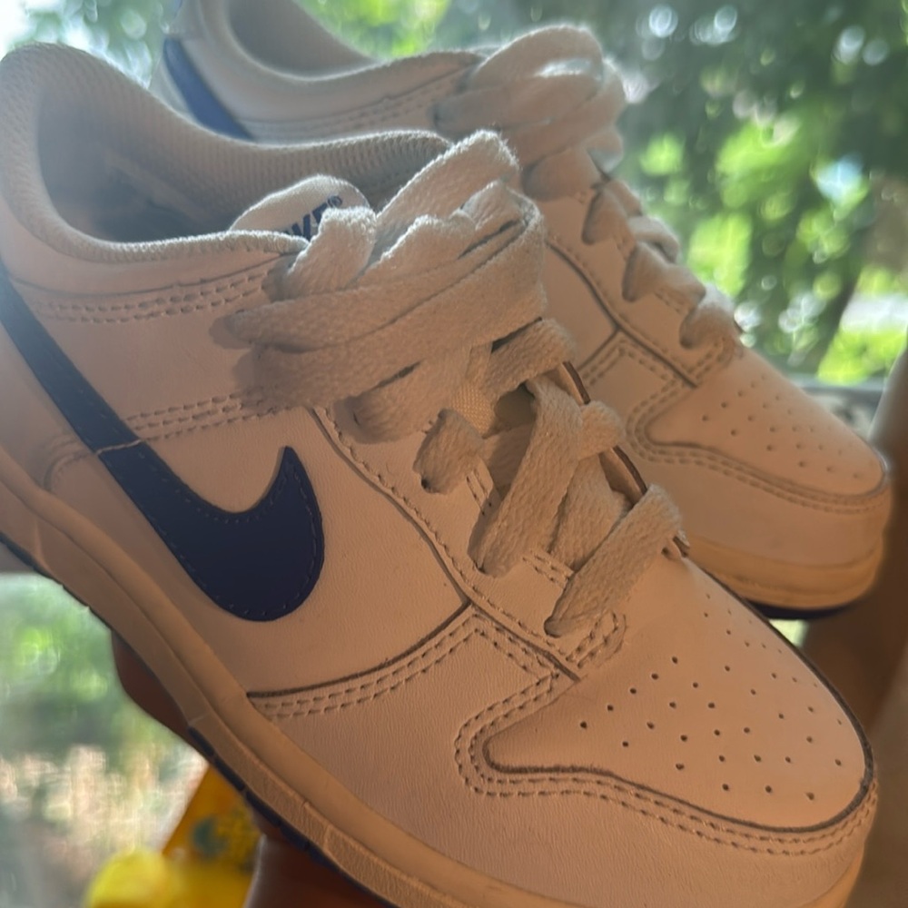 Dunks size 11.5